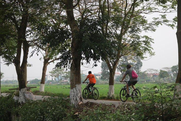 Bicycle Tour Full Day Explore Red River Delta & Rural Villages