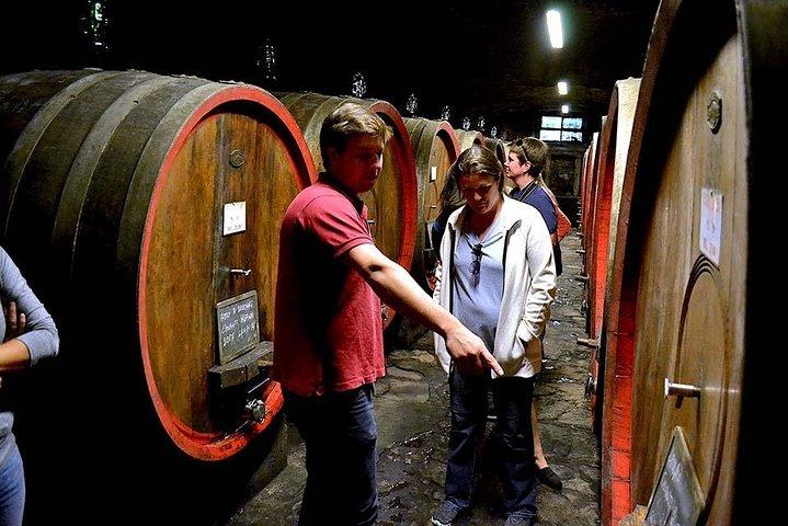 Full-Day Tuscany Castles Tour with Wine Tasting from Florence