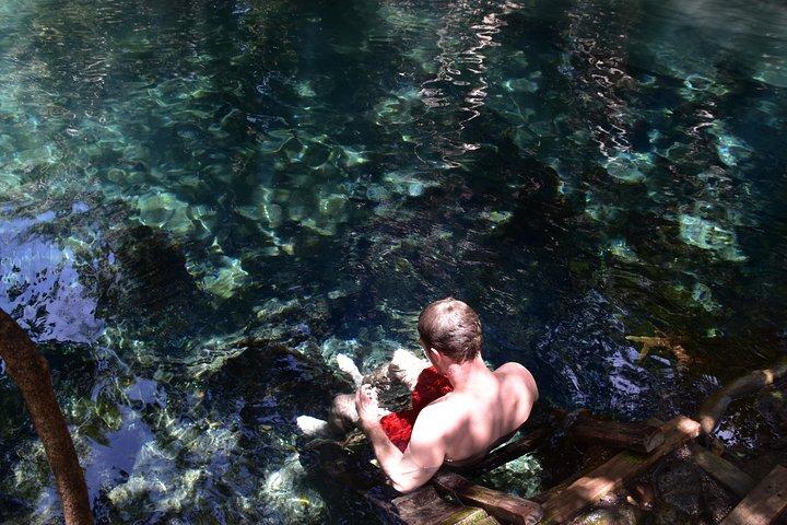 Kikuletwa Hotspring Day Tour