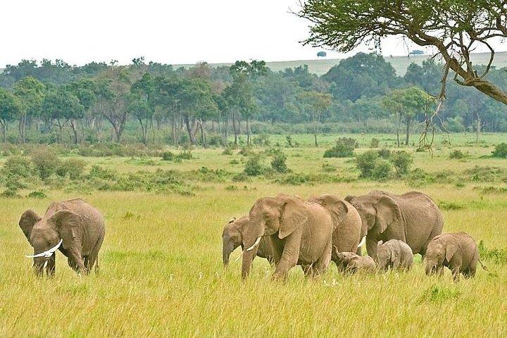 3 Days Best of Tanzania Safari