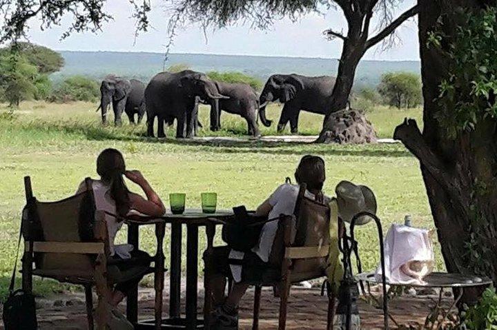 3 Days Best of Tanzania Safari