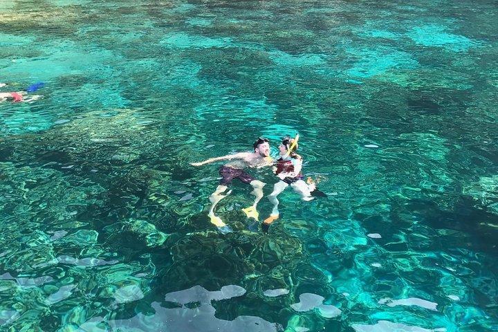 Kona Snorkeling: Beat the Crowd to Kealakekua Bay