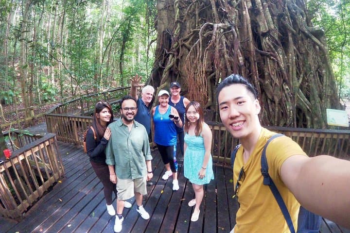 Cairns Rainforest & Waterfalls 4WD Half-Day Tour
