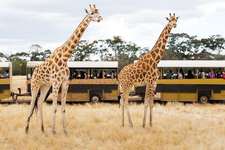Werribee Open Range Zoo General Admission Ticket