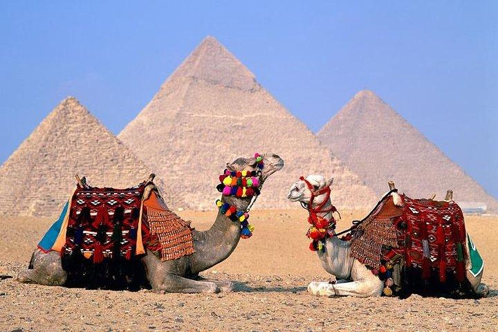 Private Guided Tour to Giza pyramids, Sphinx, Saqqara and Dahshur + Lunch