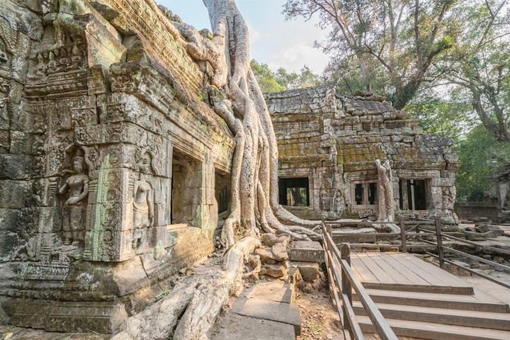 Full-Day Angkor Temple Bike Tour from Siem Reap Inclusive of Lunch