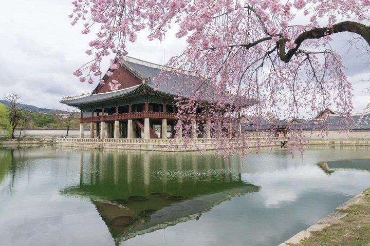 Seoul Highlights & Hidden Gems – Private Tour with Photo Service