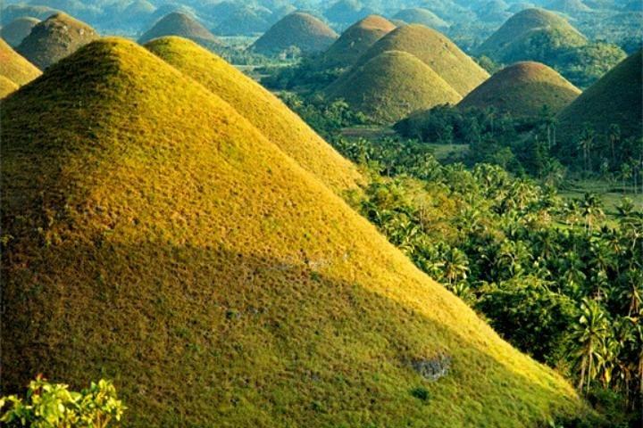 Chocolate hills tour with Tarsier & Loboc river Buffet Lunch (half-day tour)