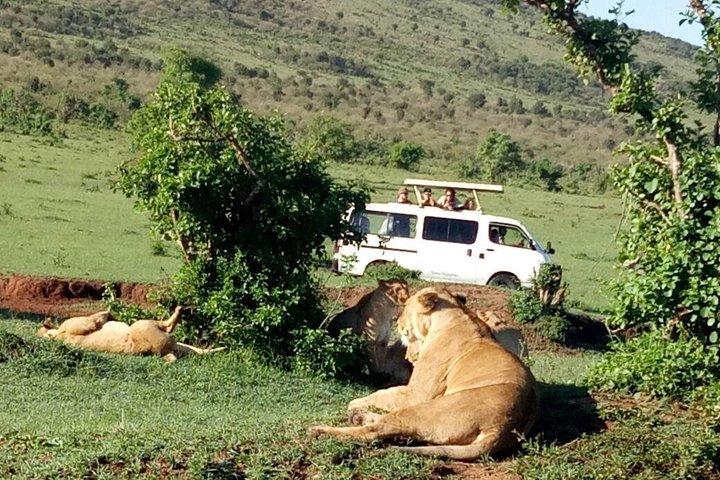 6 Days Maasai Mara - Lake Nakuru - Amboseli.