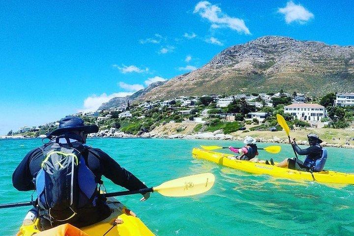 Kayak to the penguins in Simons Town