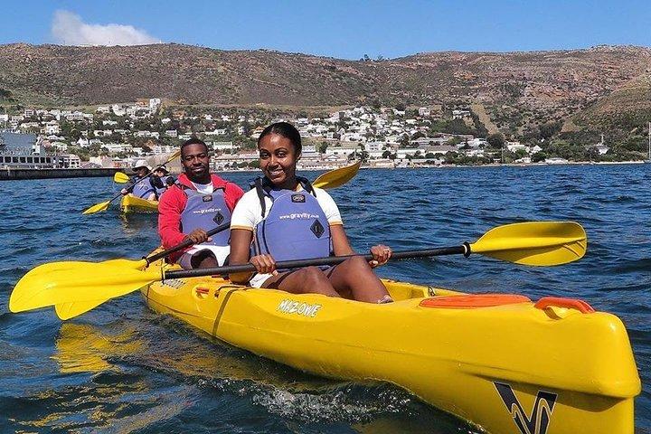 Kayak to the penguins in Simons Town