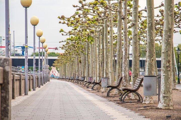 Discover Dusseldorf’s most Photogenic Spots with a Local