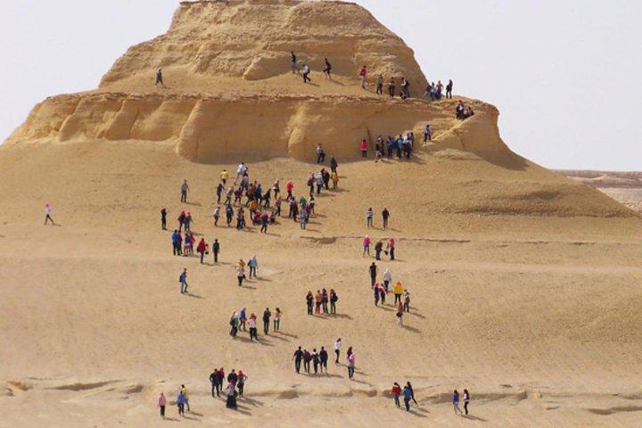 Fayoum Oasis & Wadi Al Rian Day Tour from Cairo