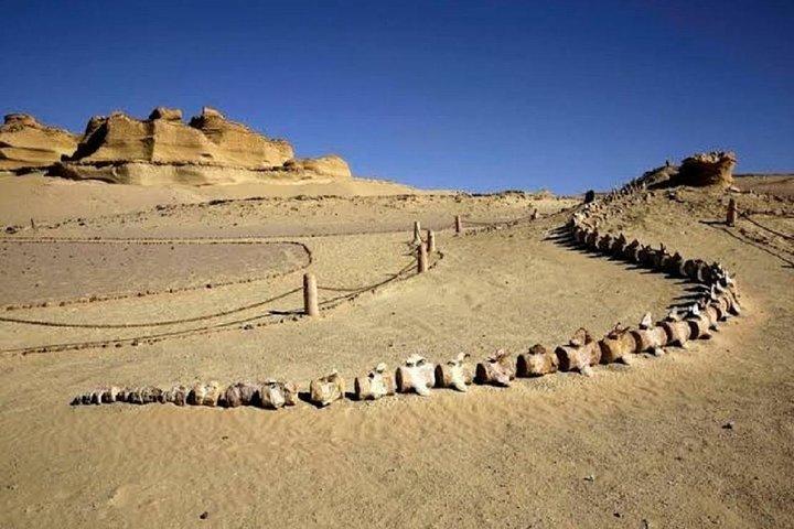 Fayoum Oasis & Wadi Al Rian Day Tour from Cairo