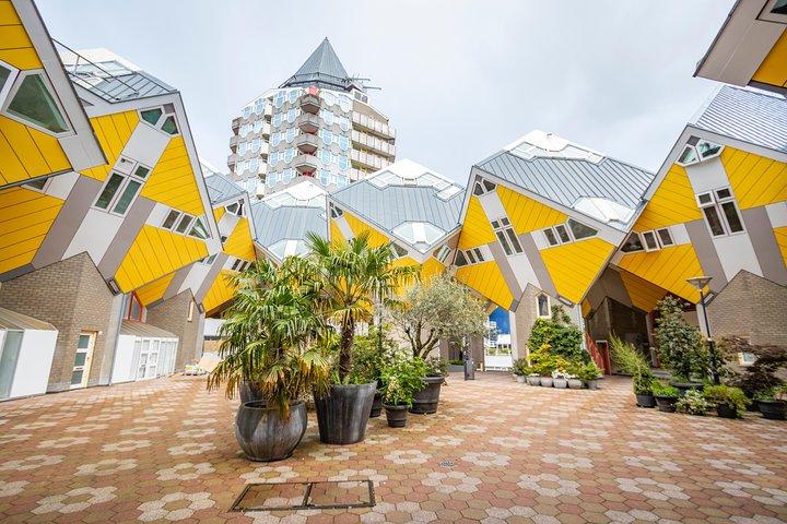 Discover Rotterdam’s most Photogenic Spots with a Local