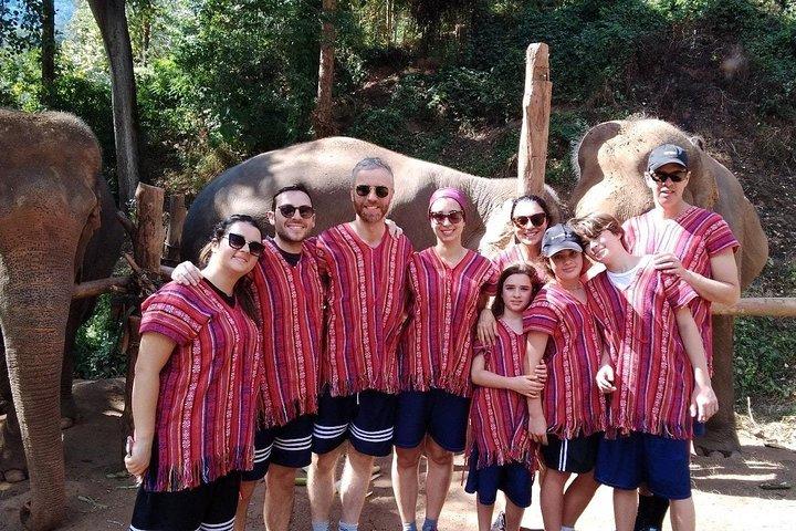 Top Pick - Full or Half Day @Elephant in Wild Sanctuary ChiangMai