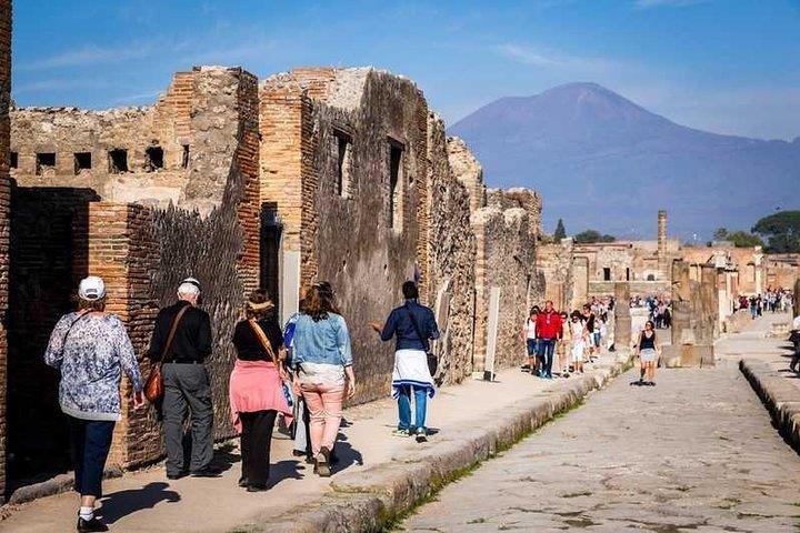 Private Pompeii Tour with Local Guide & Entry Ticket