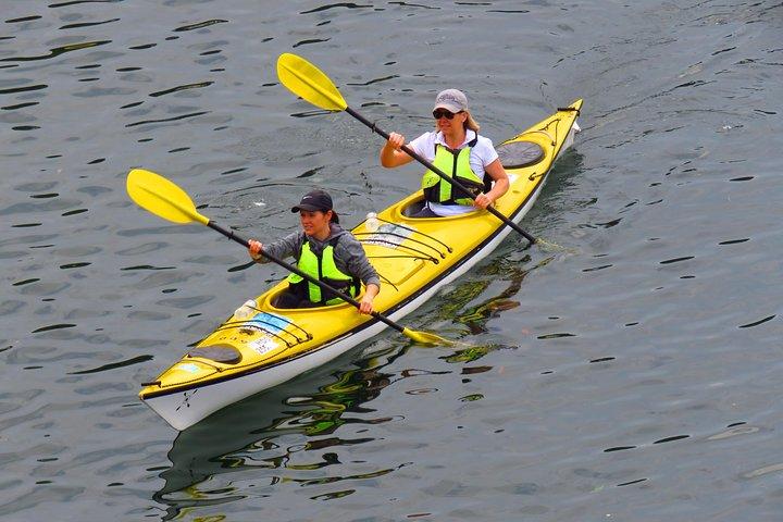 1 Hour Rental Deluxe Double Sea Kayak