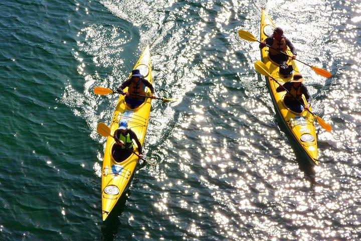 1 Hour Rental Deluxe Double Sea Kayak