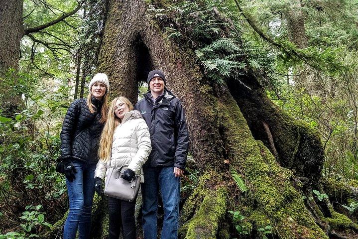 Oregon Coast Tour and Wine Tasting From Portland- Full Day Tour