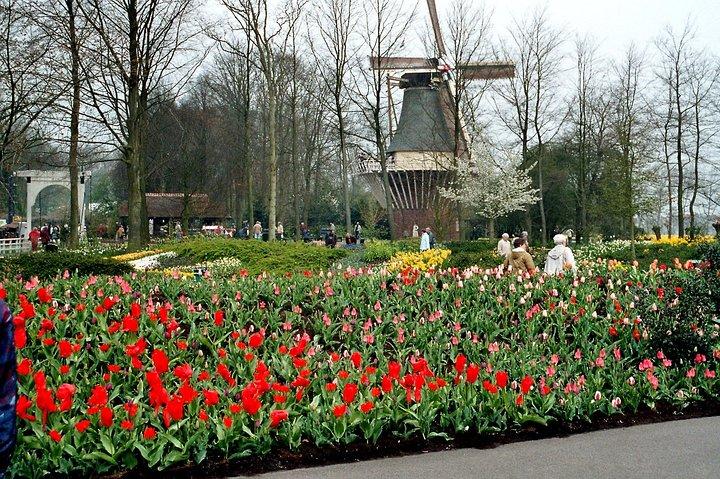 Private Day Trip to The Keukenhof Gardens and Zaanse Schans