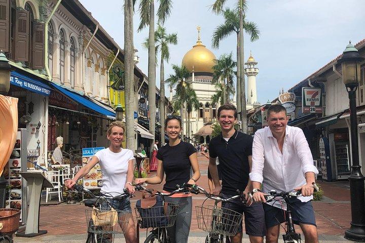 Breezing Singapore Bike Tour