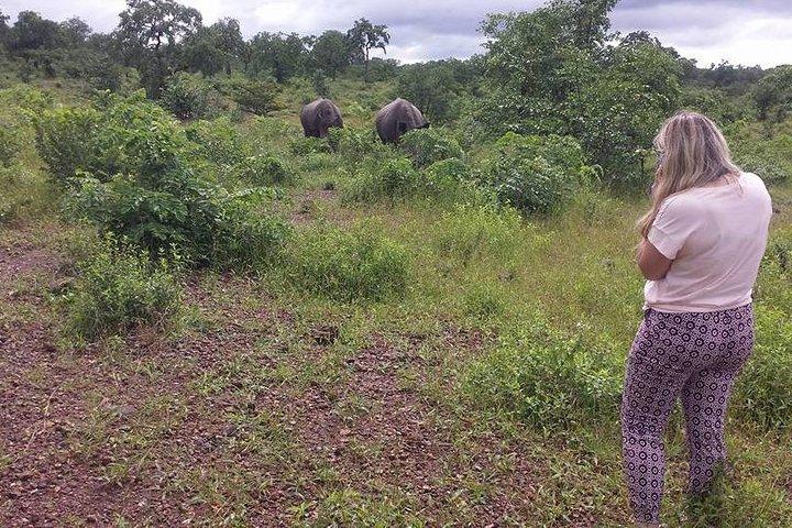 Livingstone Game Drive In The Mosi-Oa-Tunya National Park