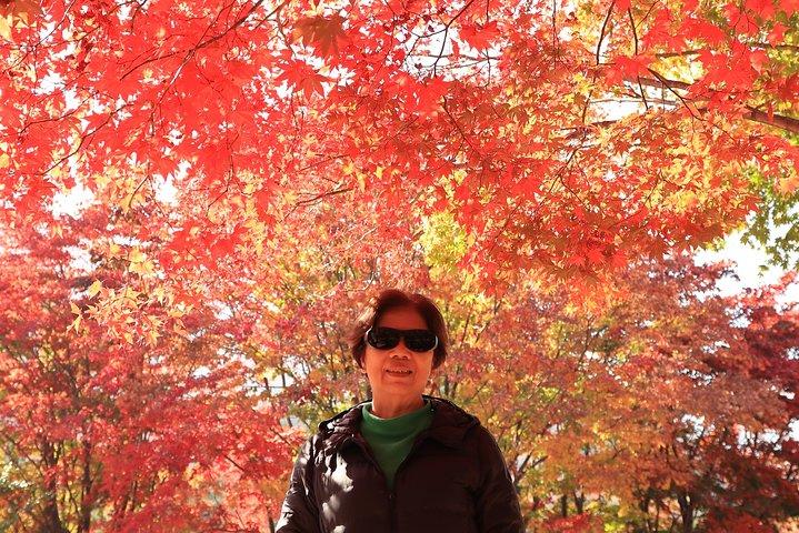 Exclusive Private Trip to Mt Seorak & East Sea!!