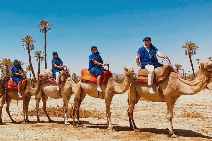 Balade en chameau à Marrakech