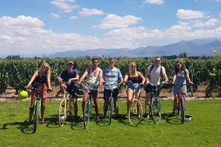 Self-Guided Bike Tour in Luján de Cuyo Wine Region (Mendoza)