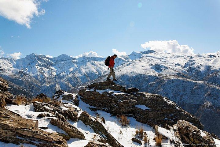 Sierra Nevada Private Tour: Day Trip from Granada