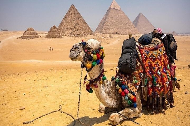 Private Tour to Giza Pyramids, & the National Museum & Old Coptic city & Bazaar