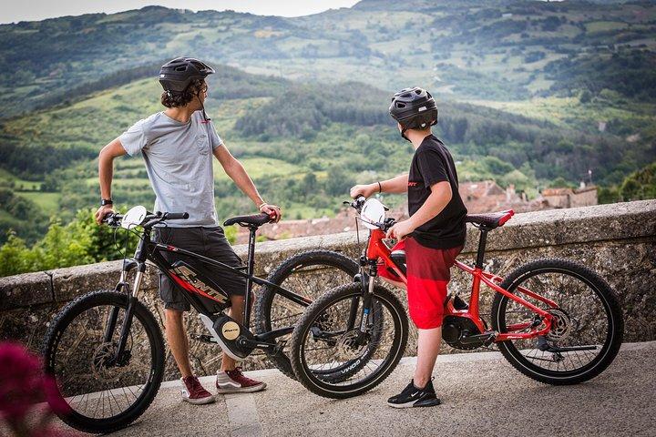 Fiesole: Tuscan Countryside Half Day E-Bike Tour & Farm visit