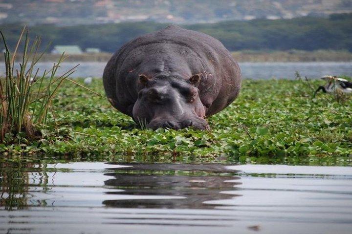 5 Days Budget Safari in Kenya
