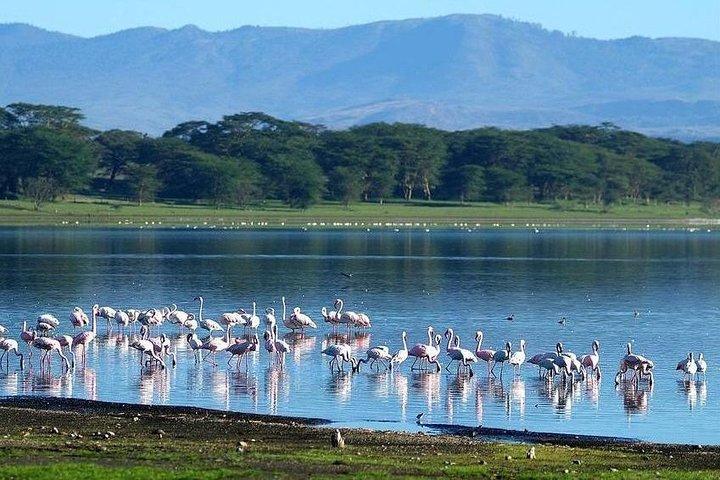 5 Days Budget Safari in Kenya