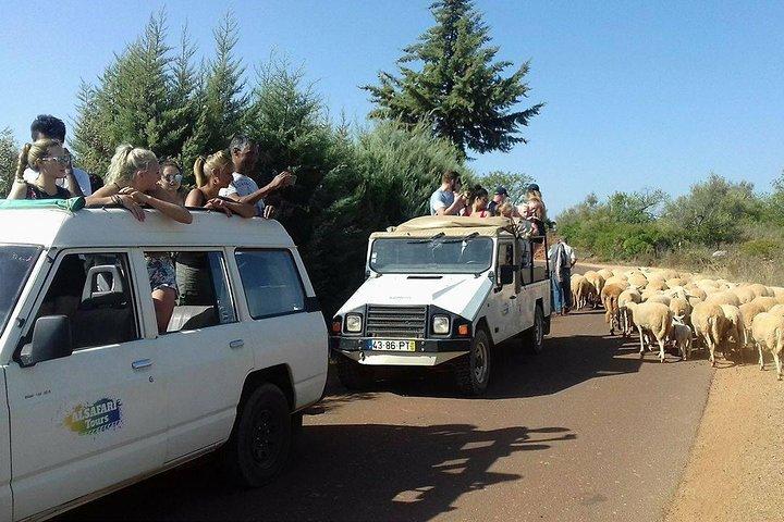 Half-Day Algarve Countryside and Villages Jeep Safari