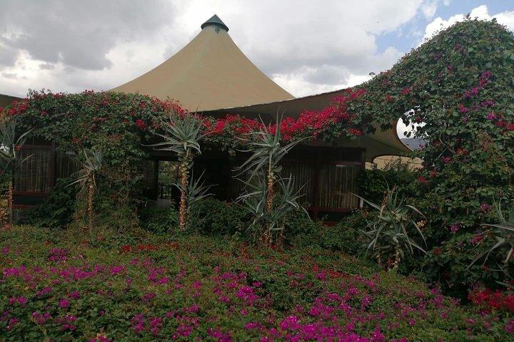 3-Day Private Amboseli/Mt. Kilimanjaro Safari (LUXURY)