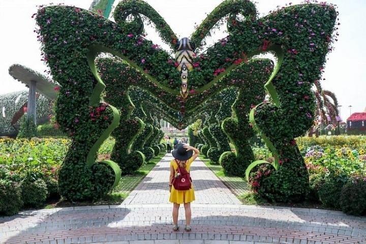Miracle Garden Dubai Tour With Ticket