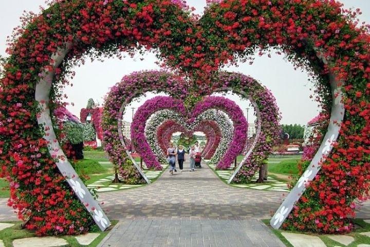 Miracle Garden Dubai Tour With Ticket
