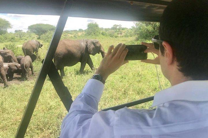 2 Days Best of Ngorongoro and Tarangire National Park