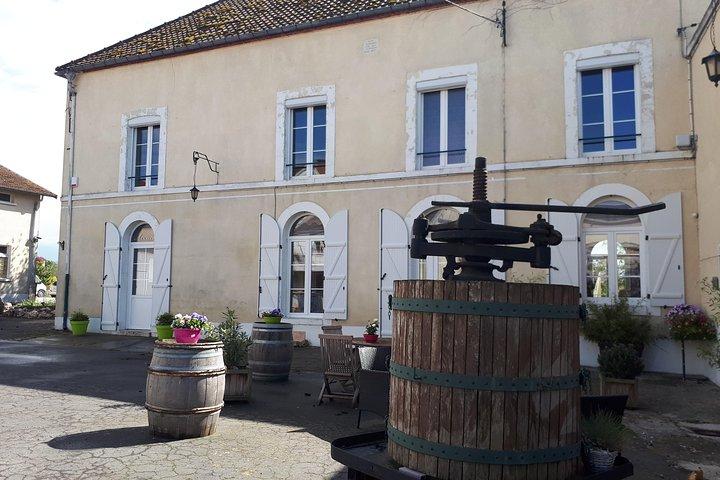 Champagne Lamiable: Traditional Tour & Tasting