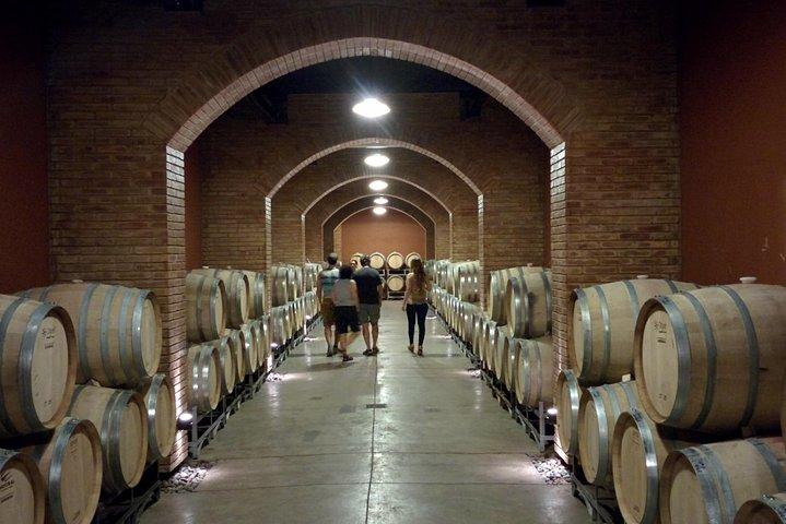 Lujan & Maipu - Private - The Best WineTour & Lunch
