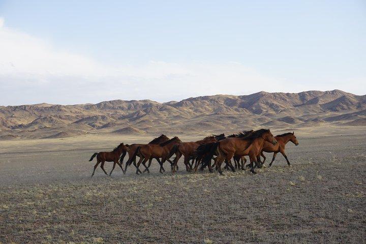 Private tour Almaty Region 3 days with Silktravel