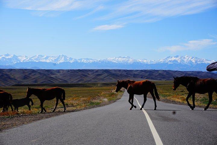 Private tour Almaty Region 3 days with Silktravel