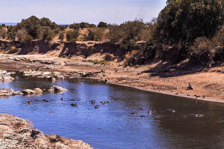 9-DAY Cruise Kenya Safari with DALA (customisable)