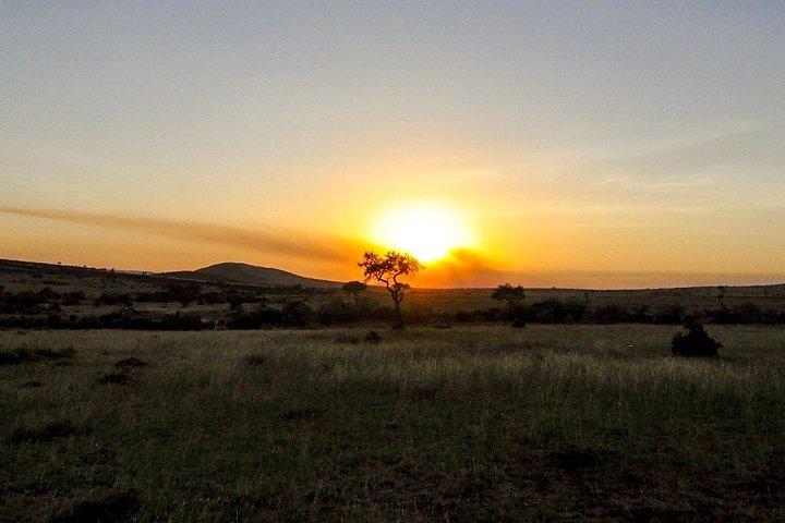 9-DAY Cruise Kenya Safari with DALA (customisable)