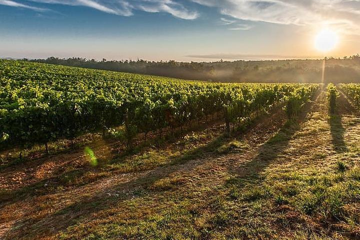 Under the Tuscan Sun Tour from Rome-Cortona & Montepulciano 1 day