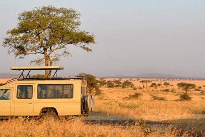 6 Days Safari to Tarangire, Ngorongoro, Lake Manyara & Serengeti