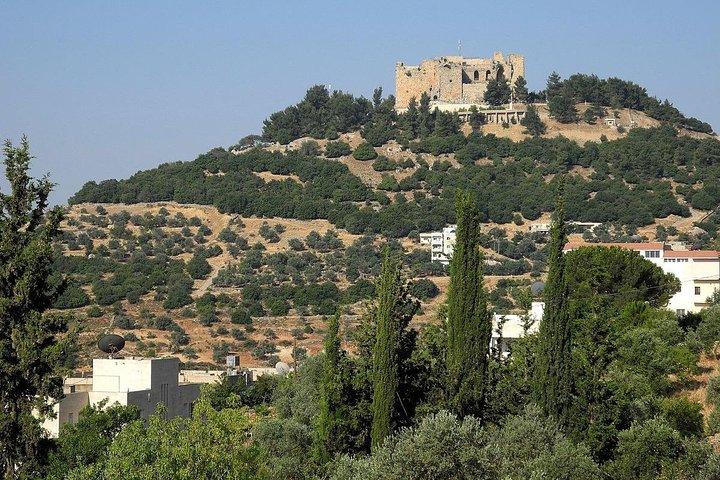 Jerash, Ajloun, Umm Qais Day Trip