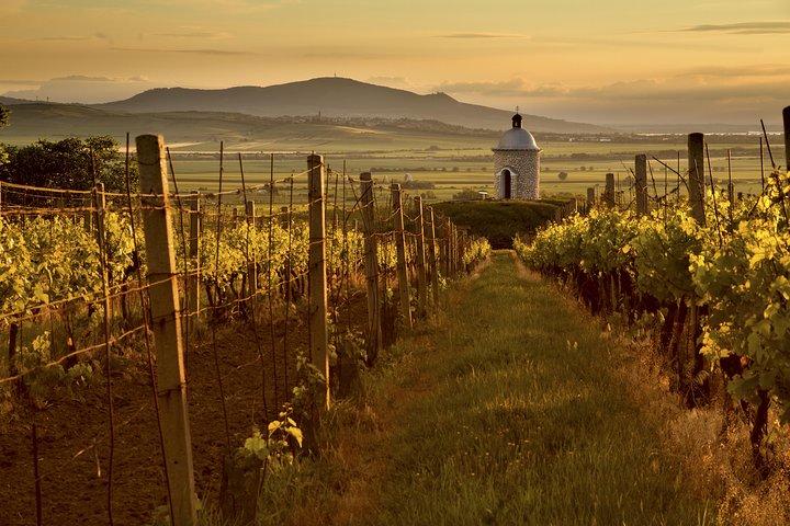 Private Tour to Czech Wine Regions - Lednice and Valtice